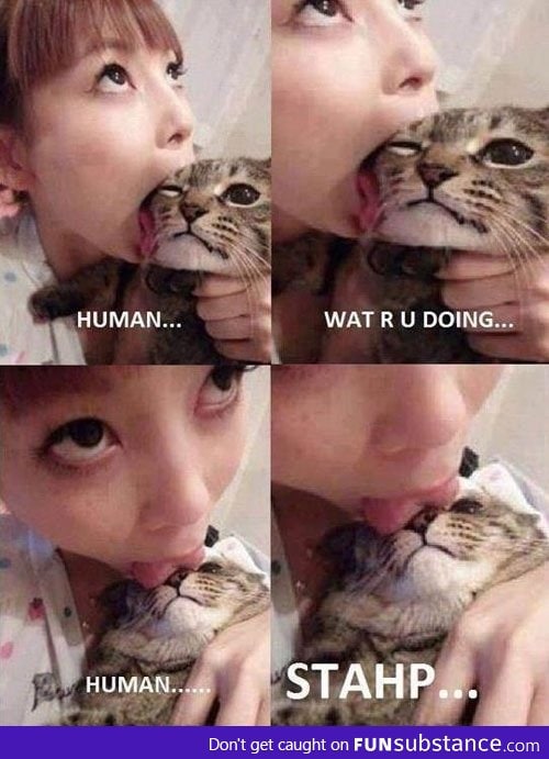 cat licker....