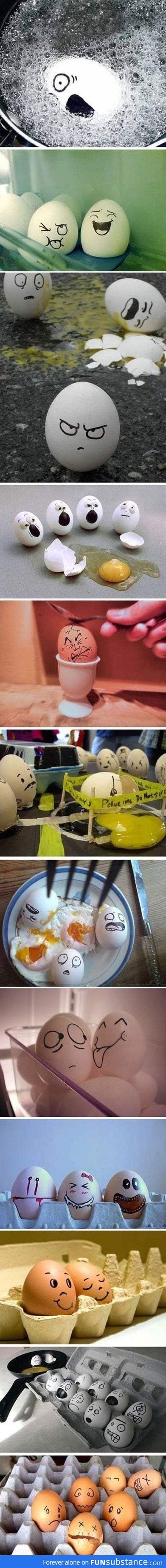 A day in the life of an egg