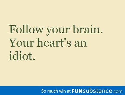 Follow your brain