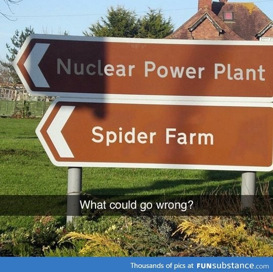 What could go wrong?