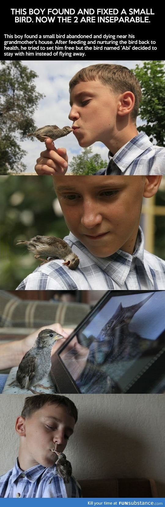 A boy and his pet bird