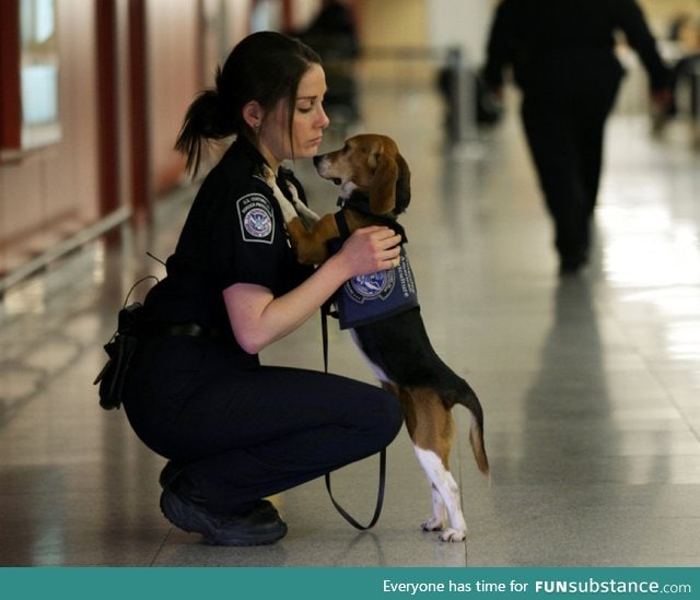 Cutest government worker