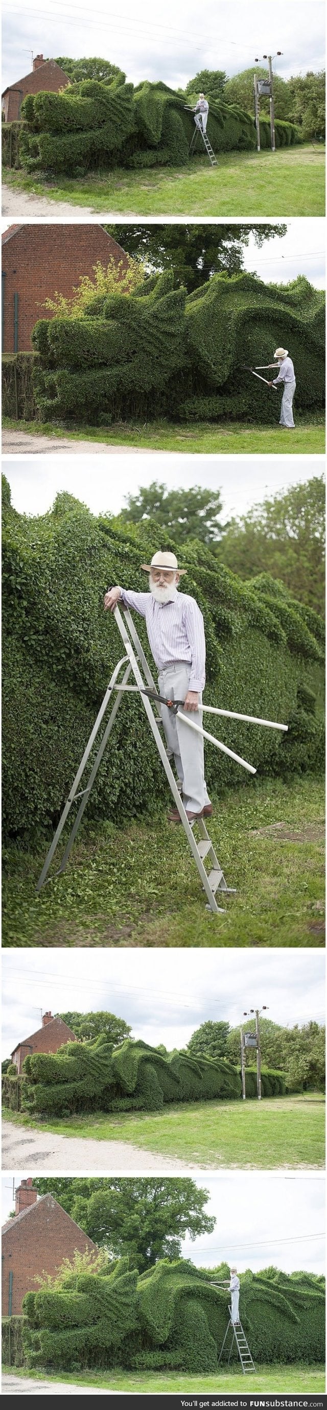 Elderly gardener spent the last 13 years turning his 150-ft-long hedge into this