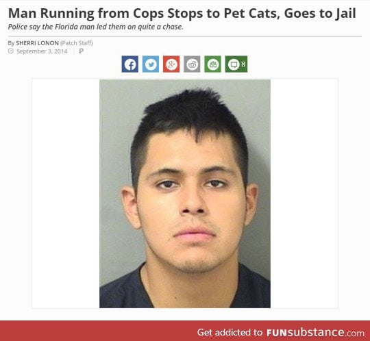 "quite a chase" till that cat shown up.