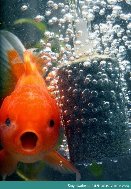 He looks amazed by the bubbles