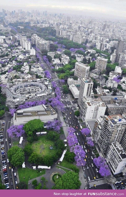 November in Buenos Aires