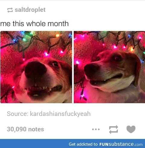 Oh Christmas derp