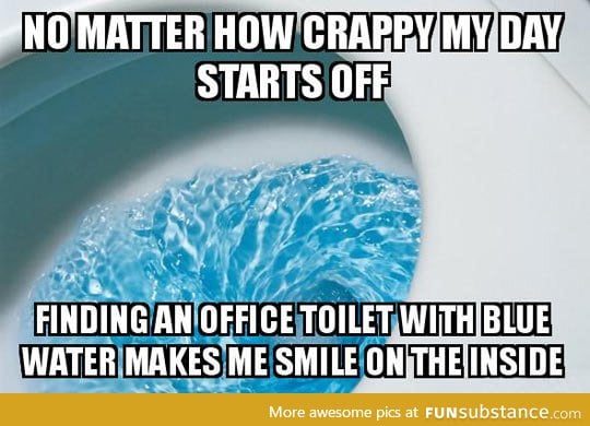 Toilet bliss