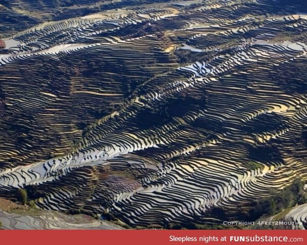 Yuanyang rice terraces in rural China are at least 1300 years old