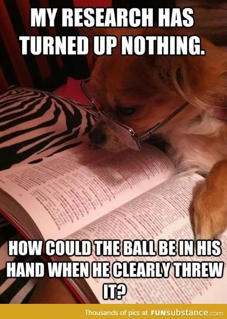 Scholar Dog: asking the important questions