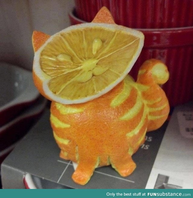 Fruit cat