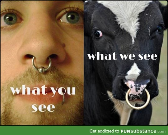 Why Are So Many People Getting a Septum Piercing Lately?