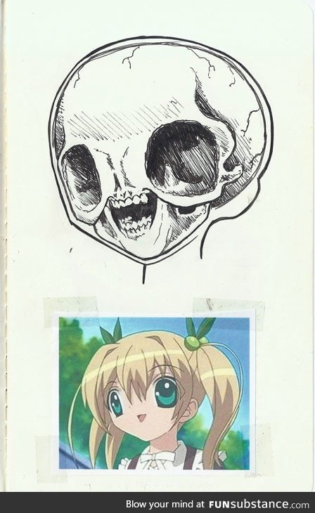 Anatomy of Anime