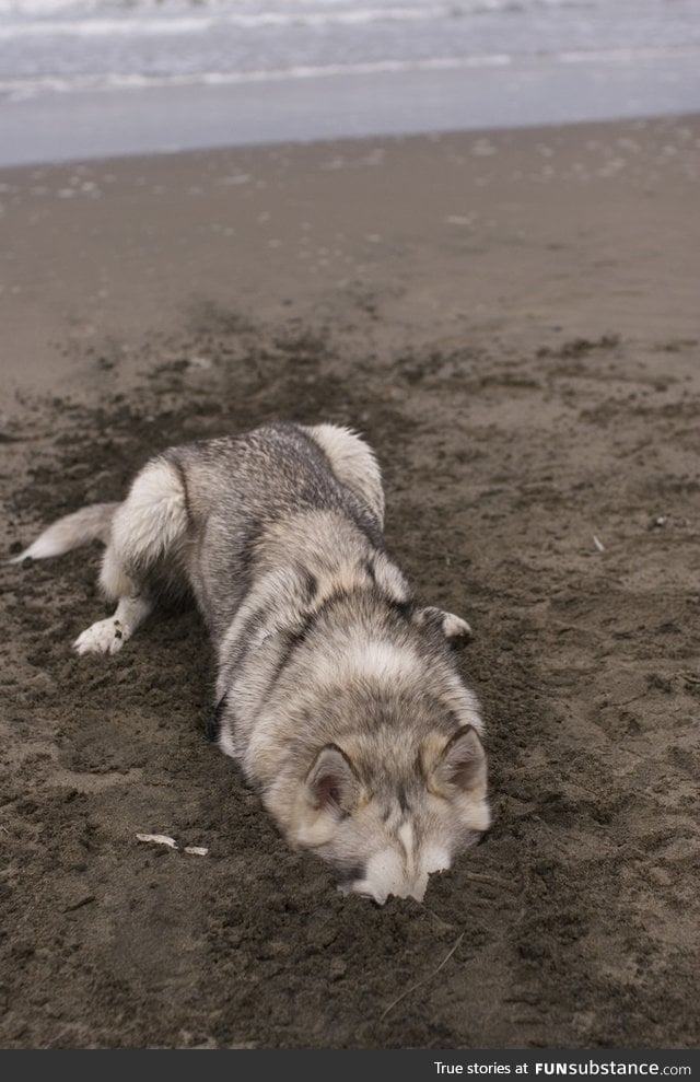 Found Moon Moon on the beach