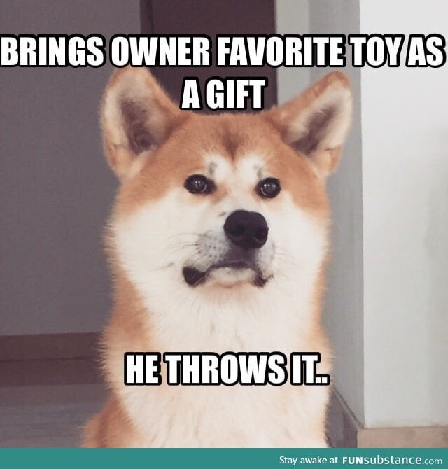 Doge problems