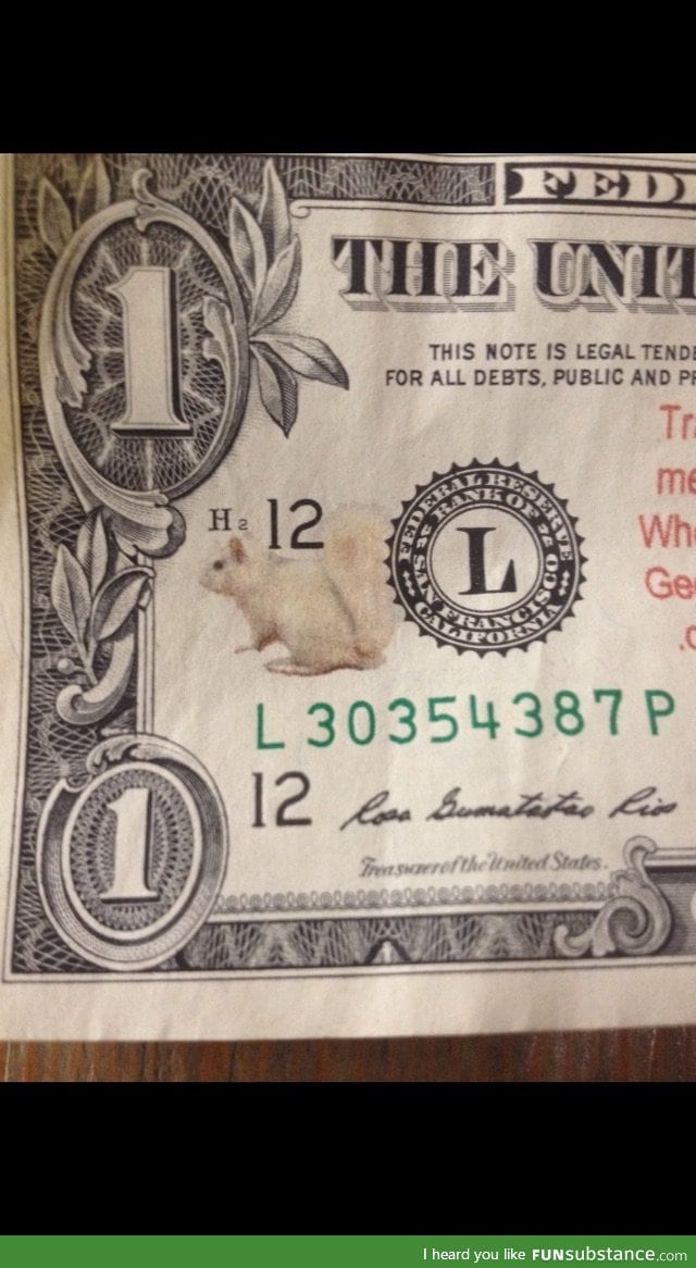 There's a f*cking squirrel on my dollar bill. What. Does. This. Mean?