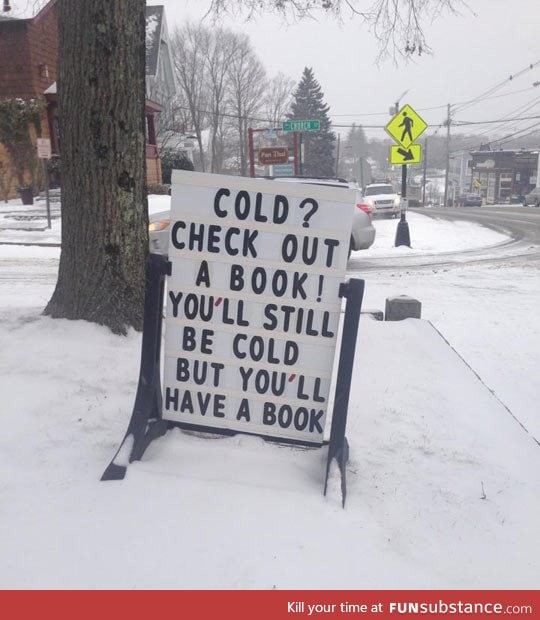 Public Library Has A Clever Blizzard Solution