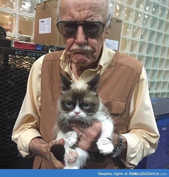 Stan Lee and Grumpy Cat