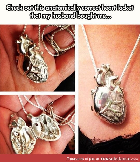 Anatomically correct love