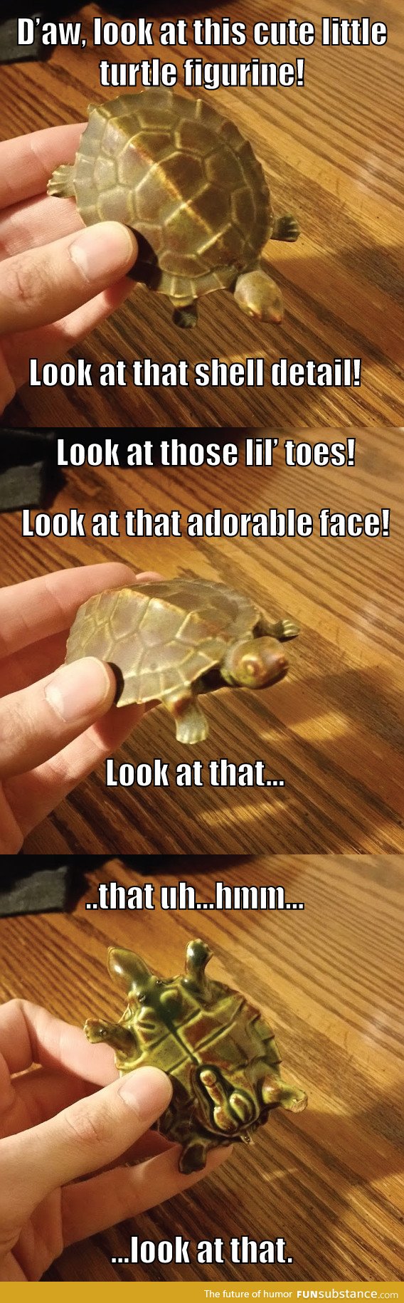 Look at this turtle!