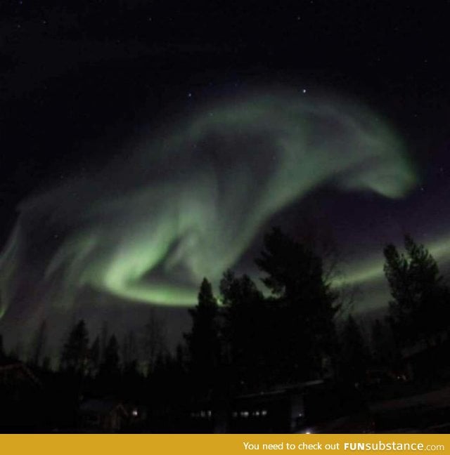 Northern lights in Sweden! Looks like a wolf