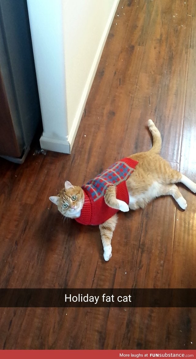 Festive Kitty is Festive