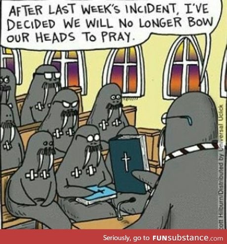 poor jesus fearing walruses