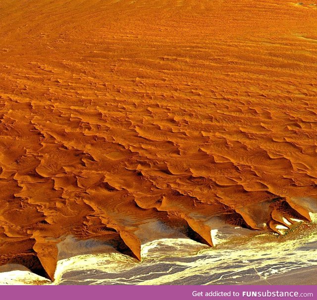 Where the Namibian desert meets the ocean