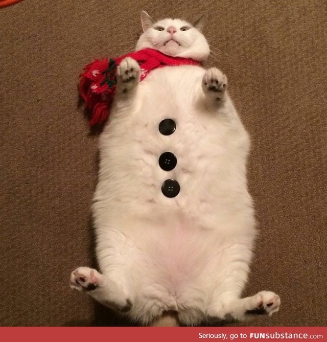 Scruffles the snowcat