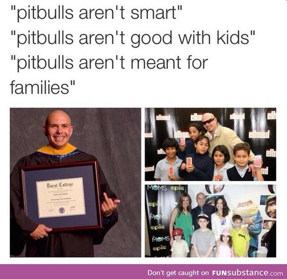 Pitbulls