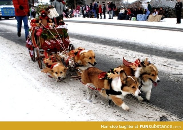 Corgi express