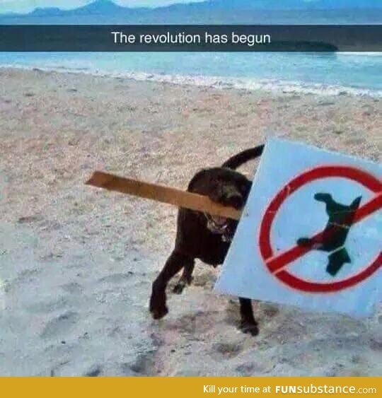 The revolution has begun