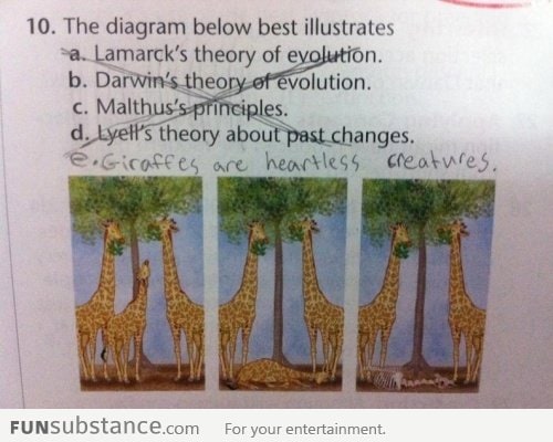 The diagram below best illustrates