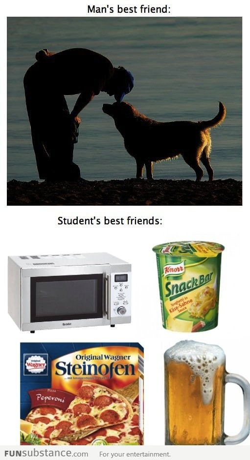 Student's best friends