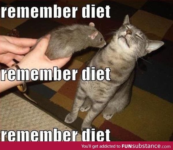 Diet!