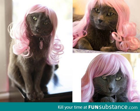 Kitty Minaj