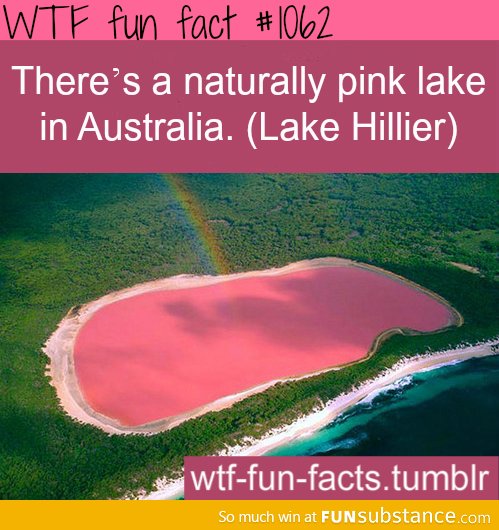 pink lake