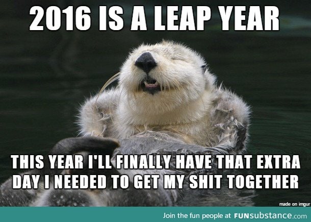 Happy New Year from Optimistic Otter!