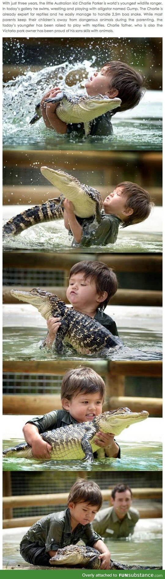 The New Steve Irwin