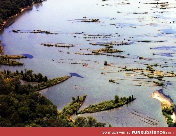 Ship graveyard