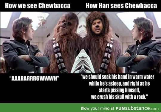 Perspectives On Chewbacca