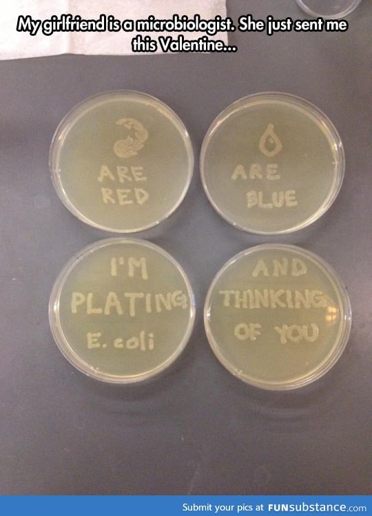 Microbiologist expressing her love