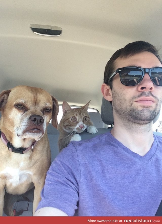 Road trip