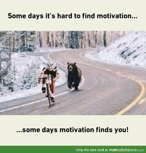 Motivation with bear