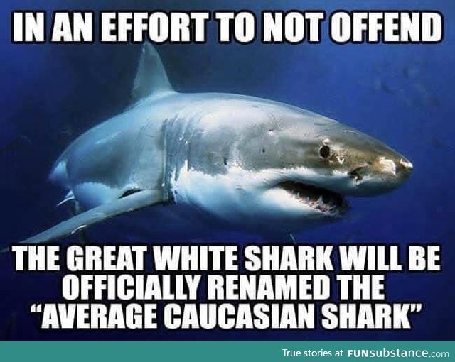 In an effort not to offend great whites