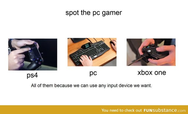 PC gamers