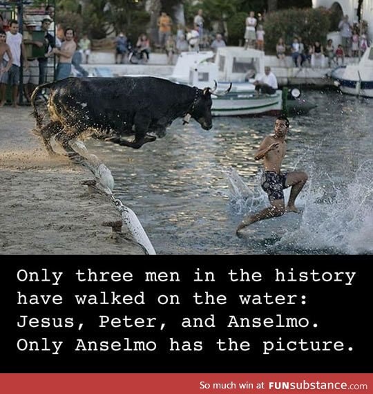 anselmo!