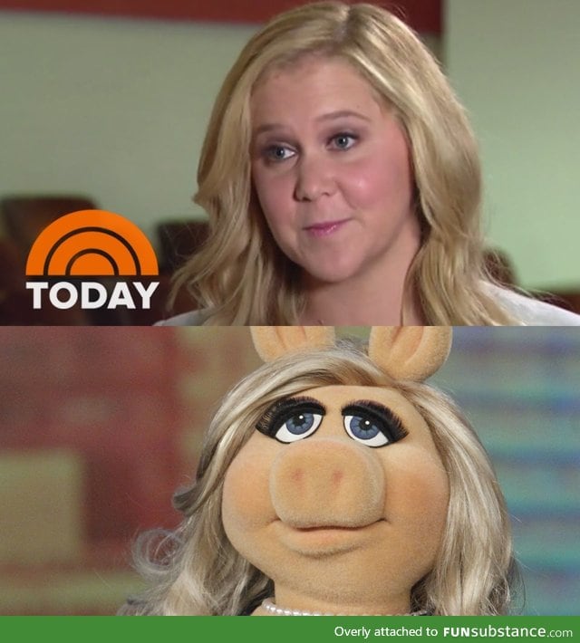 Amy Schumer stolen face evidence