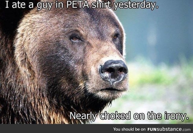 bear peta irony shirt (titles are difficult)