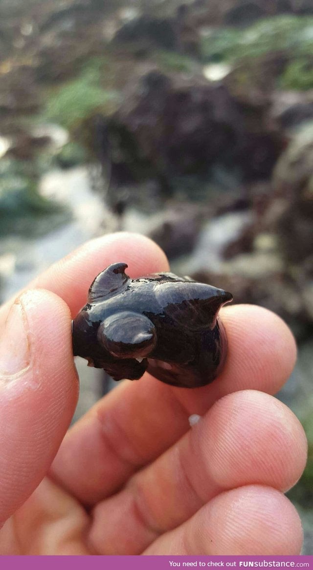 The shell on this Snail is badass